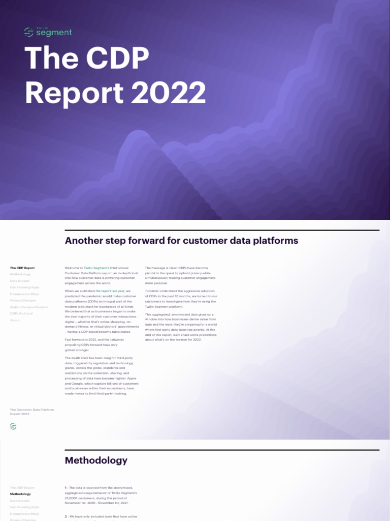 CDP Report 2022 | PDF