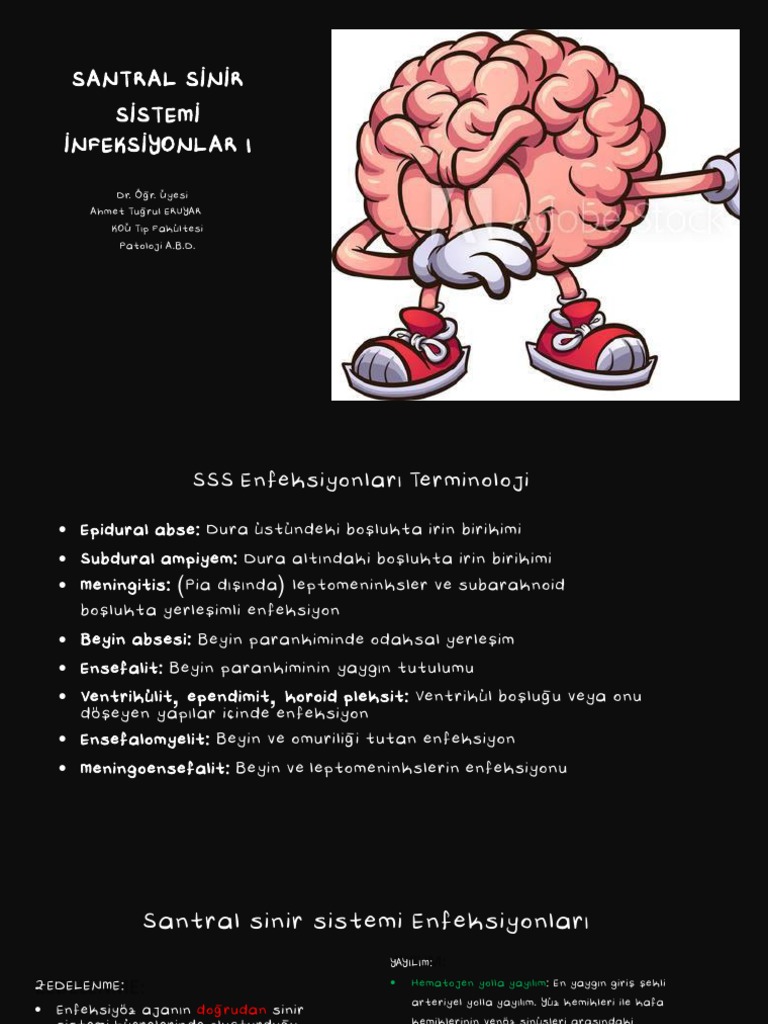 Ders 7 Merkezi Sinir Sistemi Enfeksiyonları | PDF