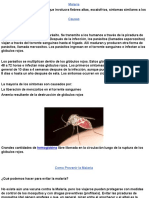 Documento Sobre La Prevencion de La Malaria Español... Sania Peña