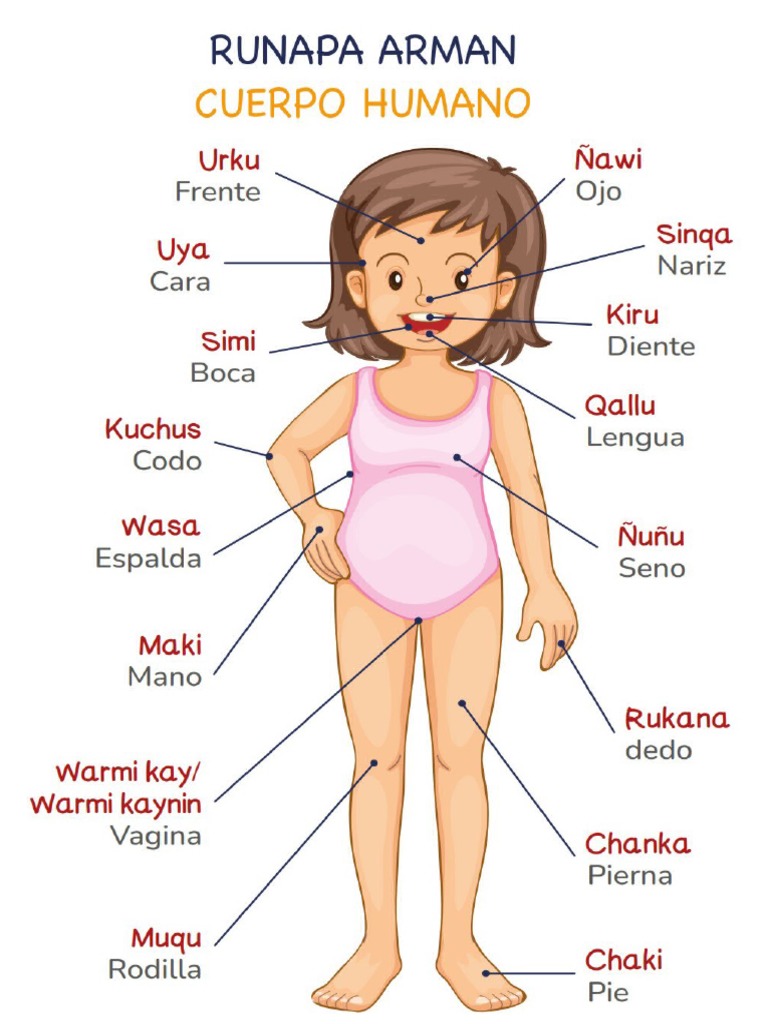 Partes Del Cuerpo en Quechua | PDF