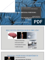 Sistema Nervioso Central