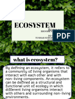 Ecosystem