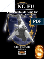 Ap1-Fundamentos Do Kung Fu