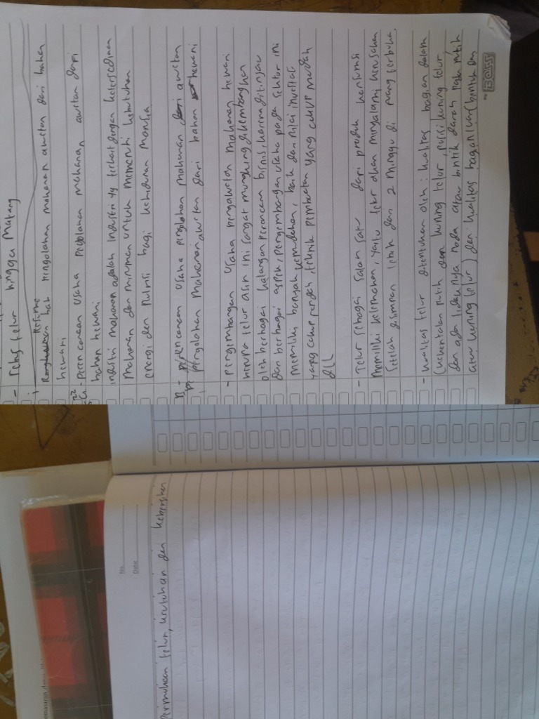 Resume Afdian Maulana X Mipa 4 PDF