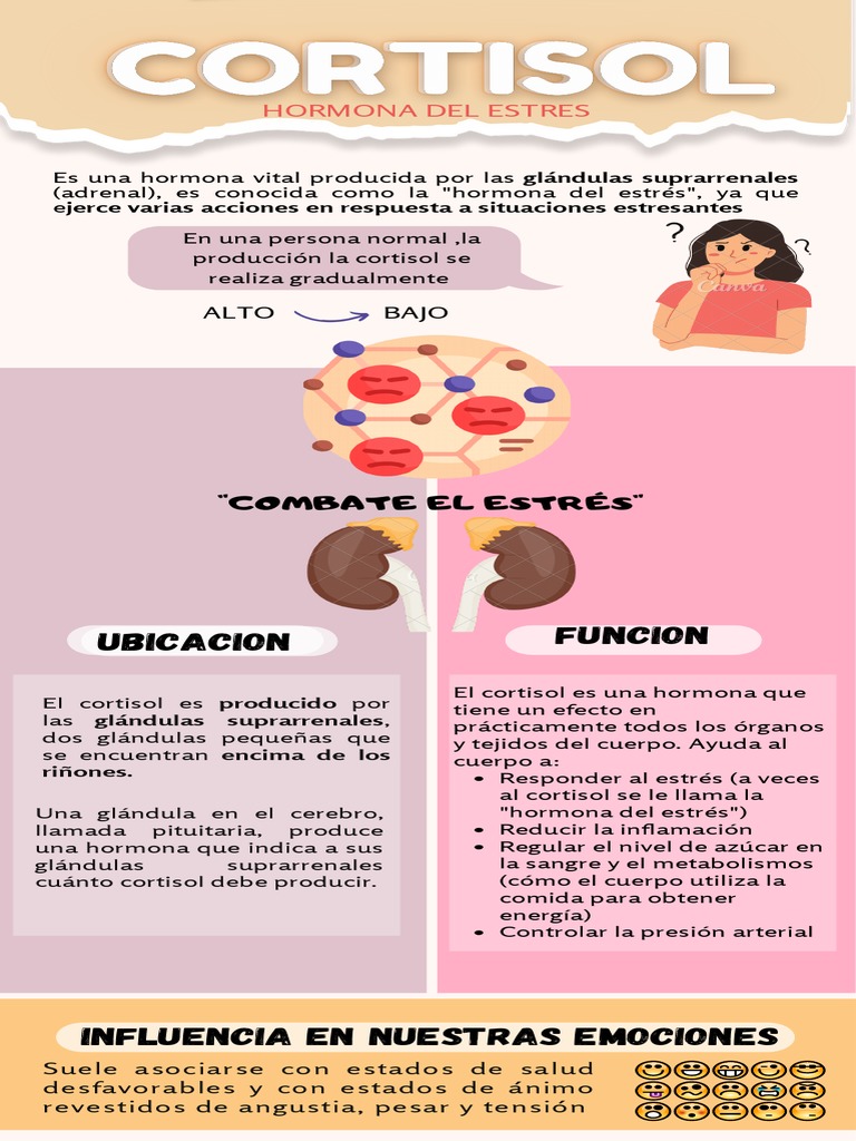 Efectos del Cortisol en el Estrés | PDF