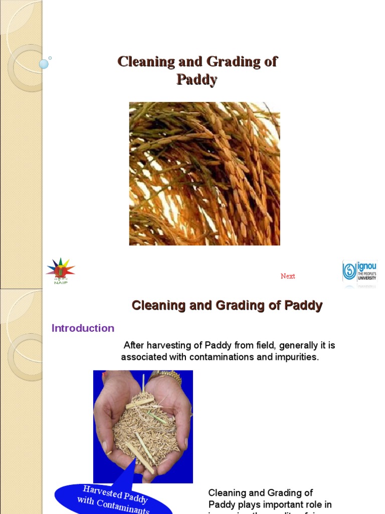 Paddy Cleaning and Grading Methods | PDF | Rice | Harvest