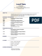 Intelligent CV Document