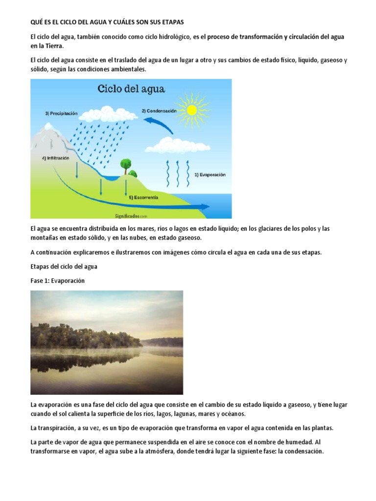 Qué Es El Ciclo Del Agua y Cuáles Son Sus Etapas | PDF | El ciclo del ...