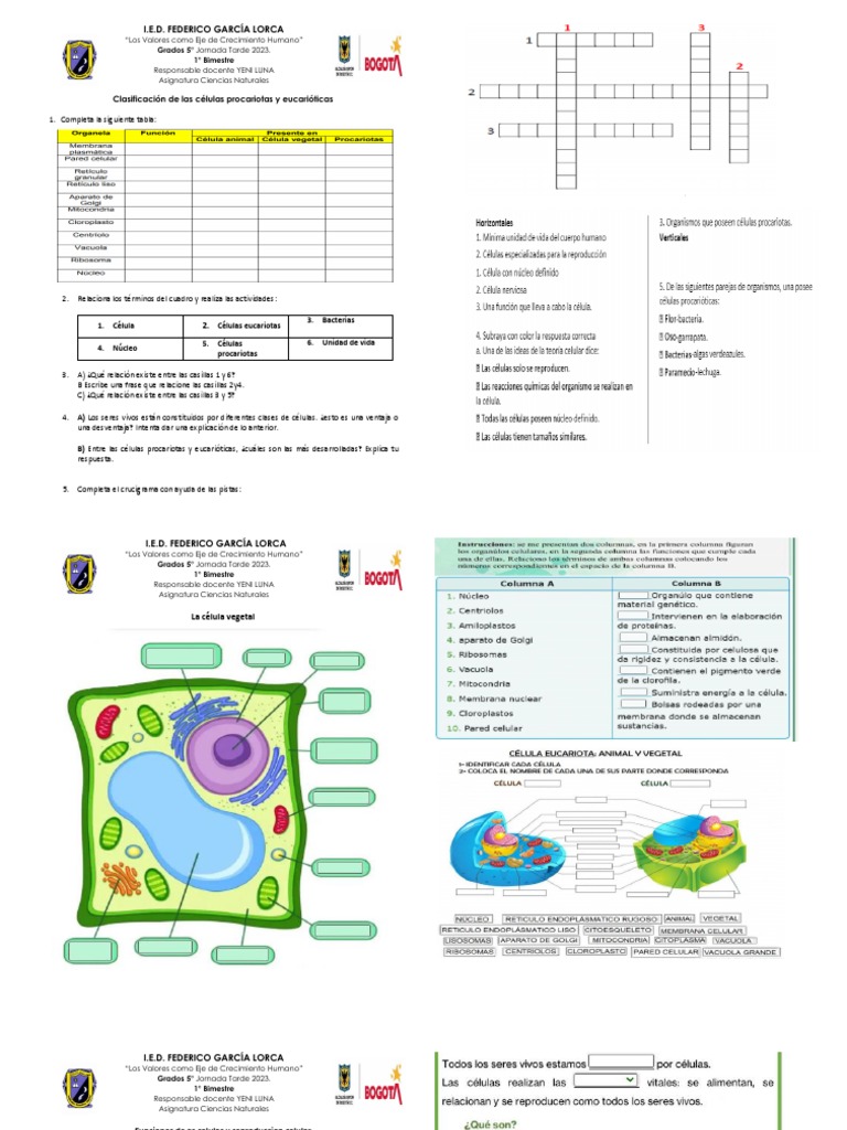 GRADO QUINTO CIENCIAS NATURALES 100 de Cada Una J. Tarde PDF