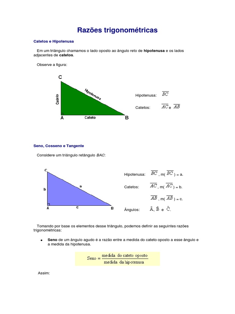 Raz es Trigonom tricas PDF