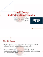 Na-K Pump, RMP, Action Potential