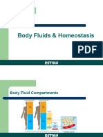 Body Fluids & Homeostasis