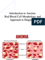 1 Introduction To Anemia