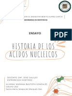 Mariana Bautista González Grupo 202 Ensayo, Ácidos Nucleicos