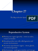 Ch 27 Male Reproduction Lecture Presentation Fall%2c 2011-1