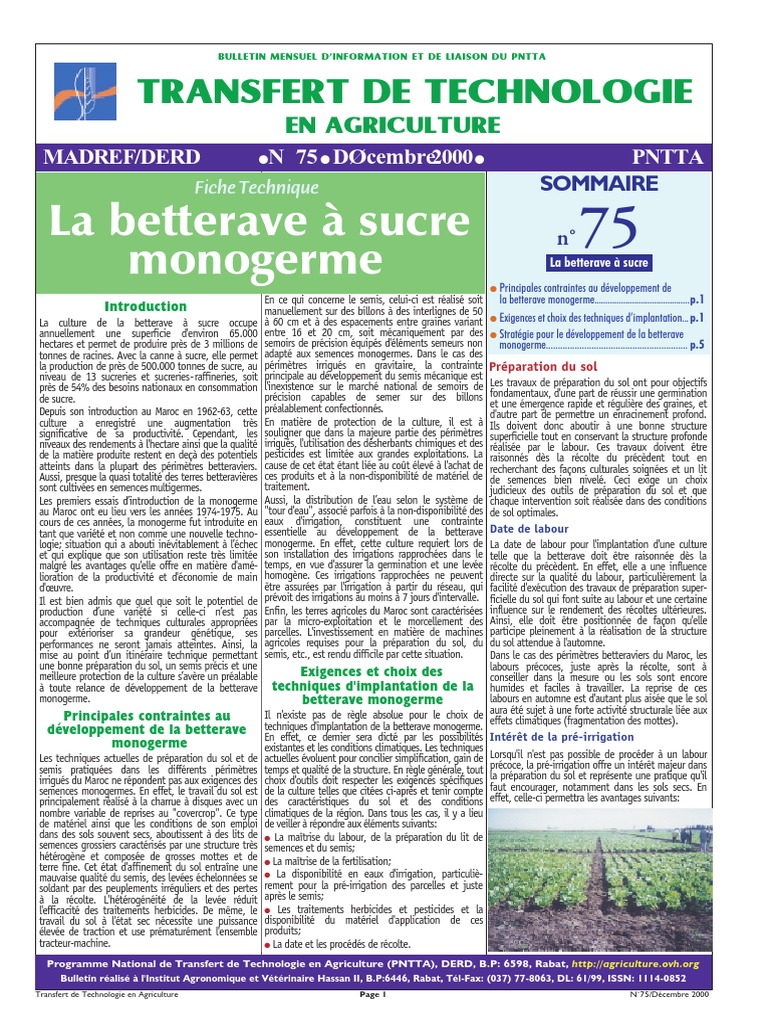Développement de la betterave monogerme au Maroc | PDF | Fertilisant ...