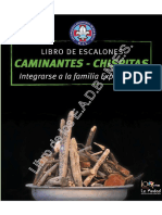 Libro Caminantes Chispitas Comp 1 290