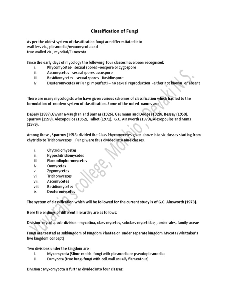 Fungi Classification Overview | PDF | Fungus | Eukaryotes