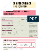 Apuntes Ácidos y Derivados