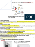 AFPD 10. Desarrollo Embrionario