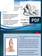 Examen Cardiovascular 5