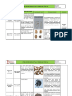 B.B.4.1Analisis de Riesgo de Semillas Toxicas PDF