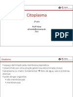 3 - Organelas e Citoplasma 1º Ano