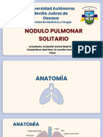 Nodulo Pulmonar Solitario