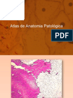 Atlas de Anatomia Patológica