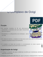 Complexo de Golgi - Paulo Henrique S. de Lima