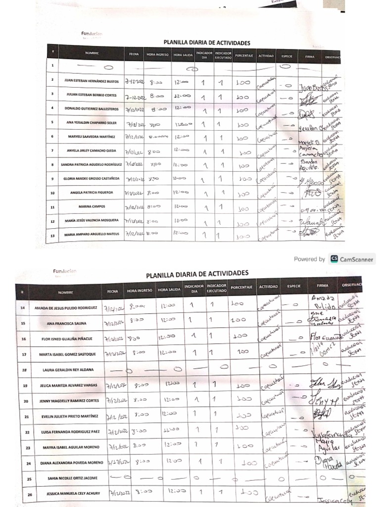 Asistencia 7 dic pdf
