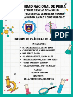Caratula Quimica Informe Laboratorio