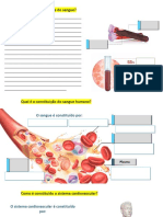 Estrutura e o Funcionamento Do Sistema Cardiovascular Humano2