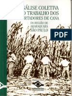 ANÁLISE DOS CORTADORES DE CANA - 1998 - 56p. - FUNDACENTRO