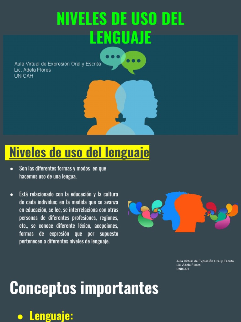 Niveles de Uso Del Lenguaje | PDF | Blasfemia | Comunicación