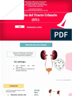 Infección Del Tracto Urinario (ITU) : Introducción A La Clínica