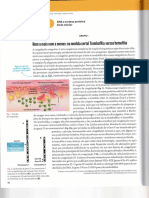 Teste - CA - Texto - 11 - DNA, Síntese Proteica, Ciclo Celular