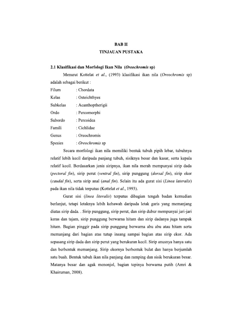 Bab Ii | PDF