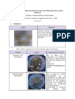 Informe Microbiologia - Toma de Muestras de Area de Trabajo (Mesones, Manos, Ambiente)