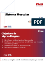 Sistema Muscular