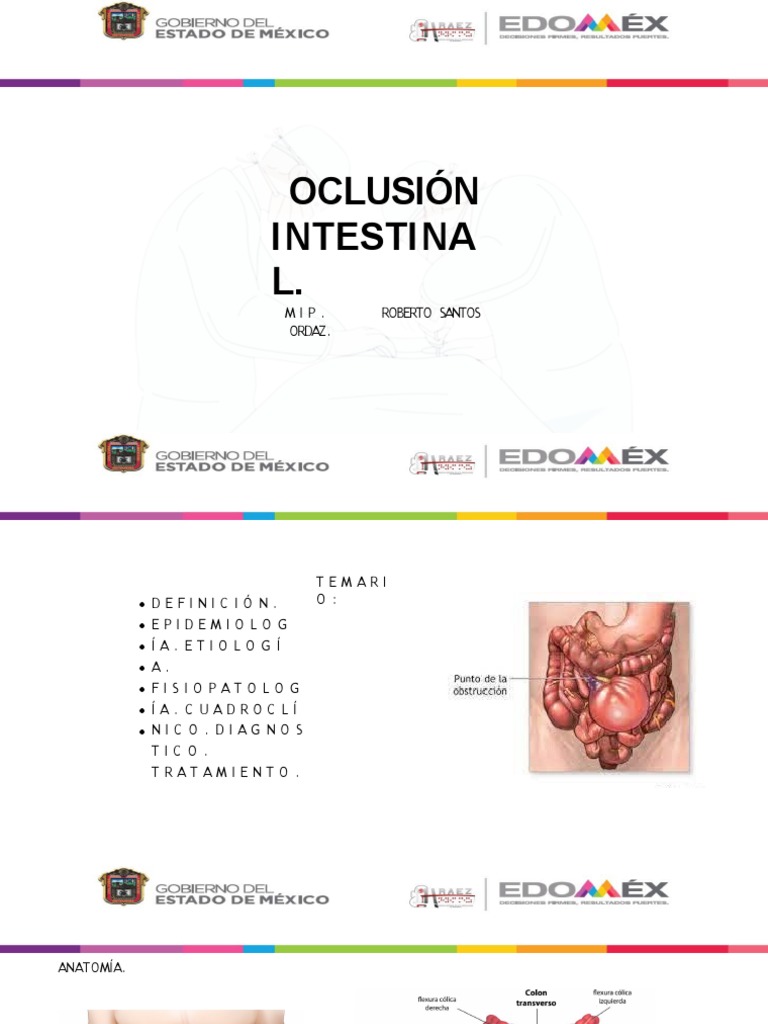 Guía Completa sobre Obstrucción Intestinal | PDF | Ciencia y matemáticas