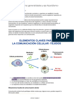 Solemne 2 Fisio General