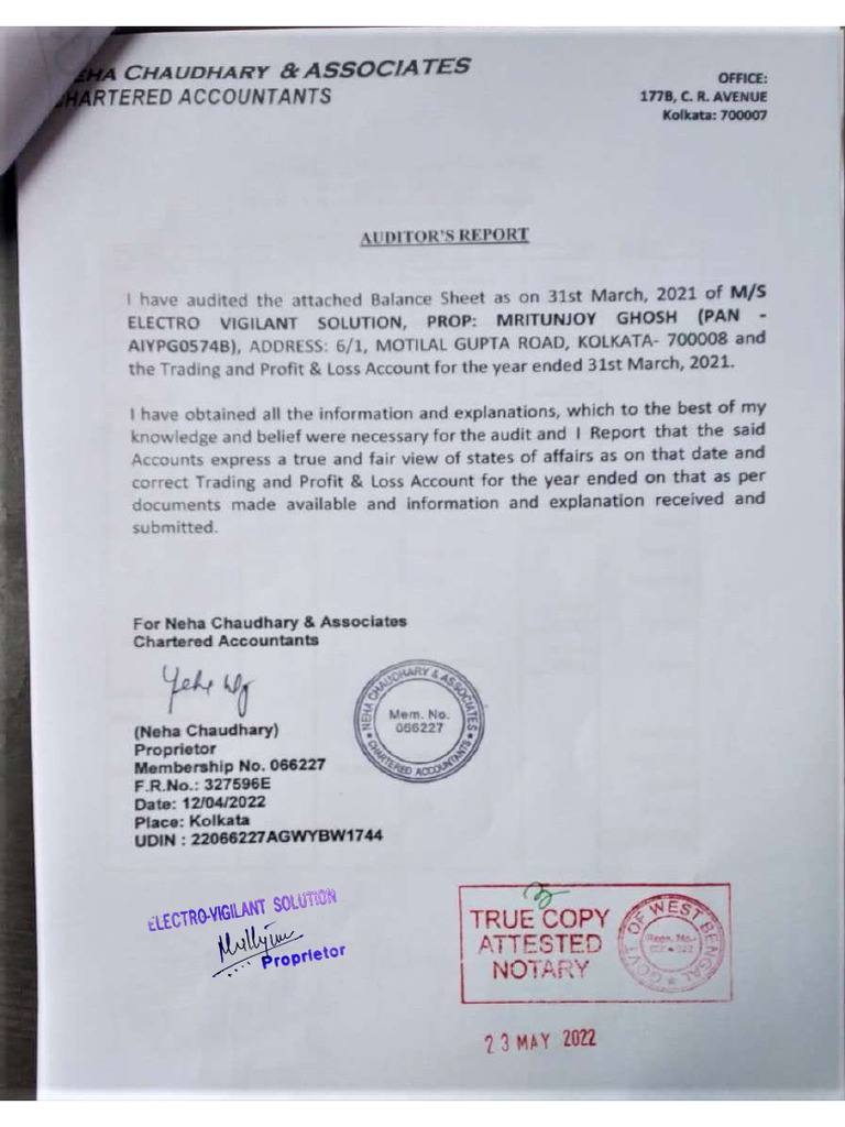 Audited Balance Sheet | PDF