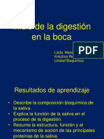 Bioquímica de La Saliva