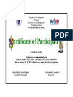 BSP Certificate of Participation