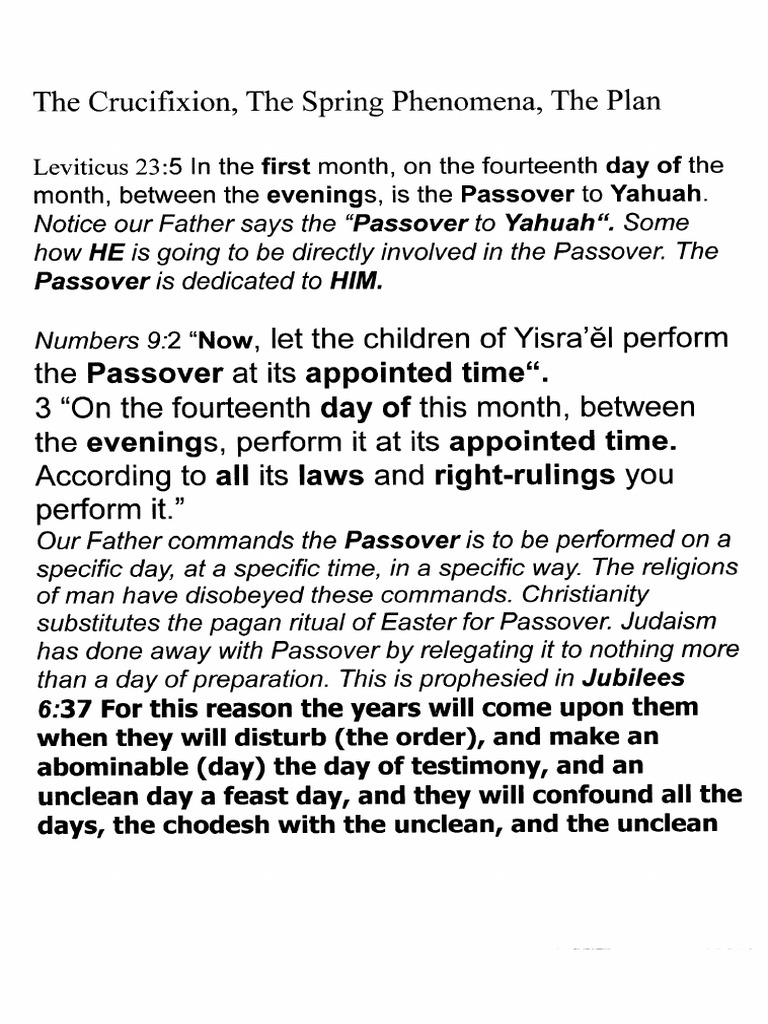 The Crucifixion Plan 1 | PDF