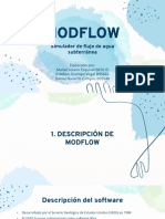 Software Modflow 