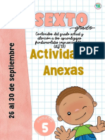 6° Anexos Semana 5