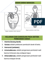 Proses Peredaran Darah