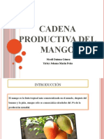 Cadena Productiva Del Mango